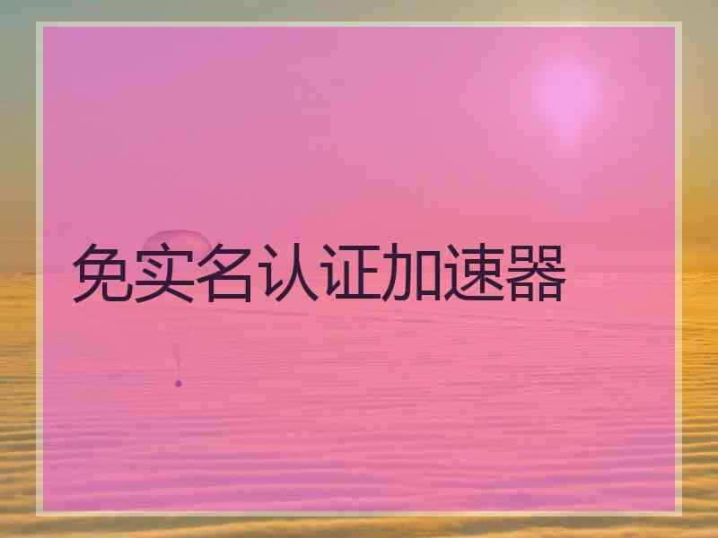 免实名认证加速器