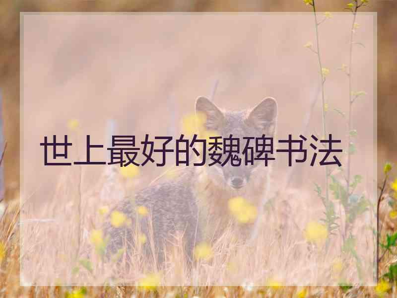世上最好的魏碑书法