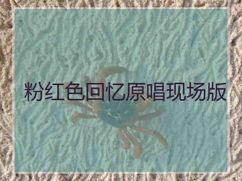 粉红色回忆原唱现场版