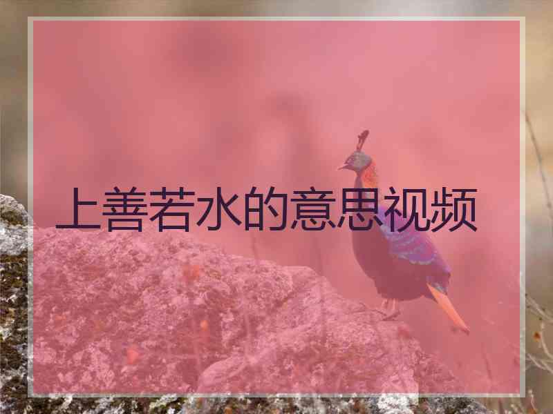 上善若水的意思视频