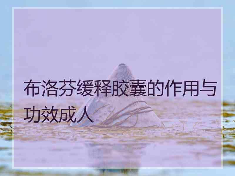 布洛芬缓释胶囊的作用与功效成人