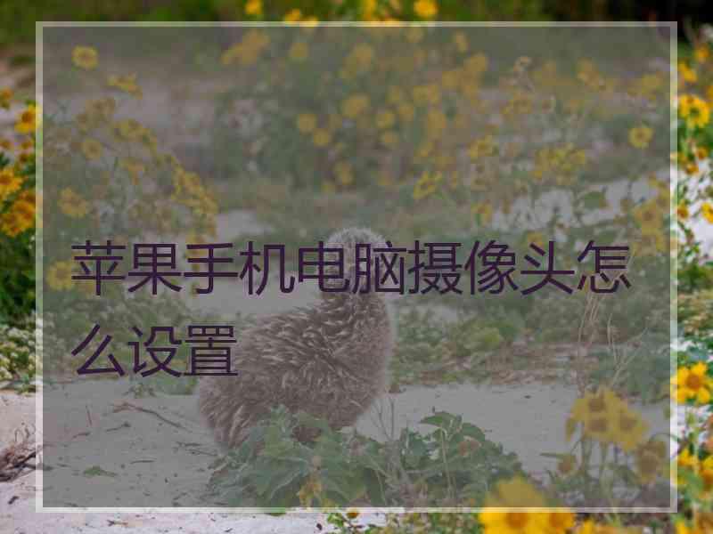 苹果手机电脑摄像头怎么设置