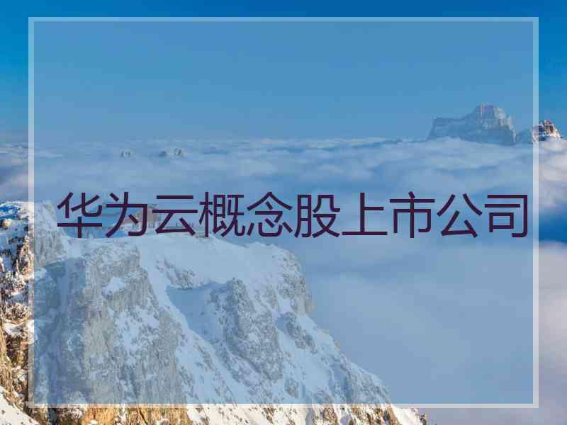 华为云概念股上市公司