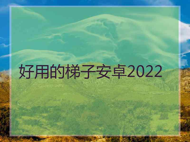 好用的梯子安卓2022