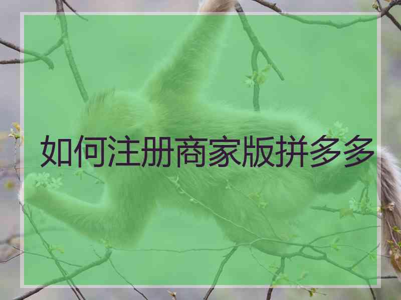 如何注册商家版拼多多