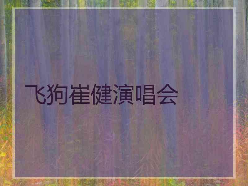飞狗崔健演唱会