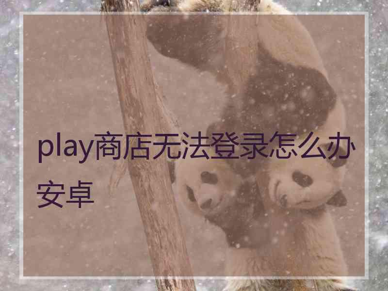 play商店无法登录怎么办安卓