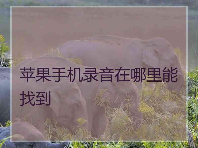 苹果手机录音在哪里能找到