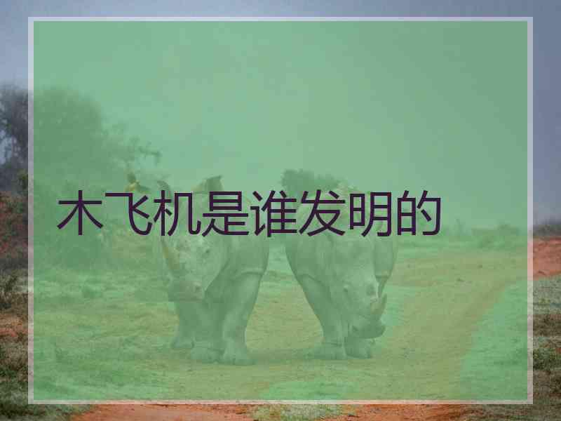 木飞机是谁发明的