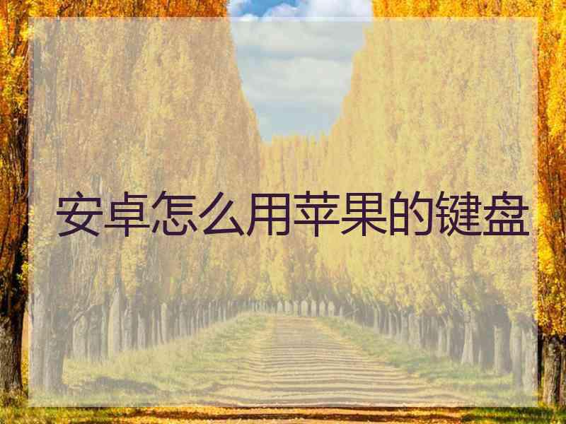 安卓怎么用苹果的键盘