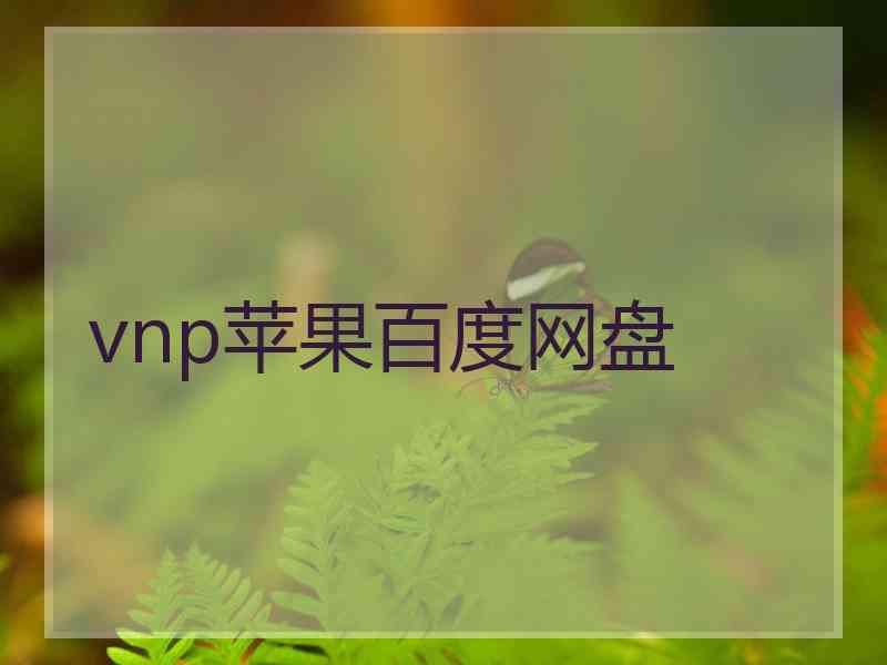 vnp苹果百度网盘