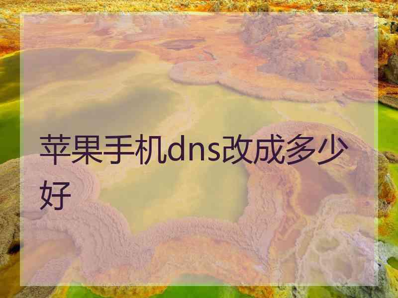 苹果手机dns改成多少好