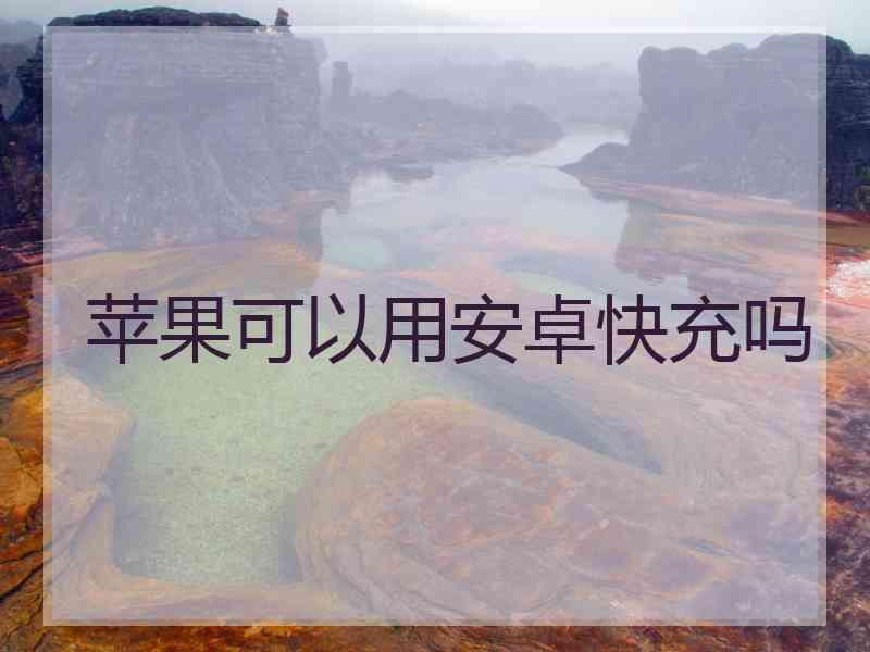 苹果可以用安卓快充吗