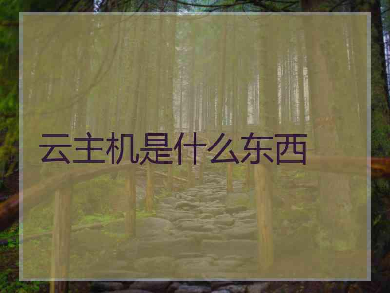 云主机是什么东西
