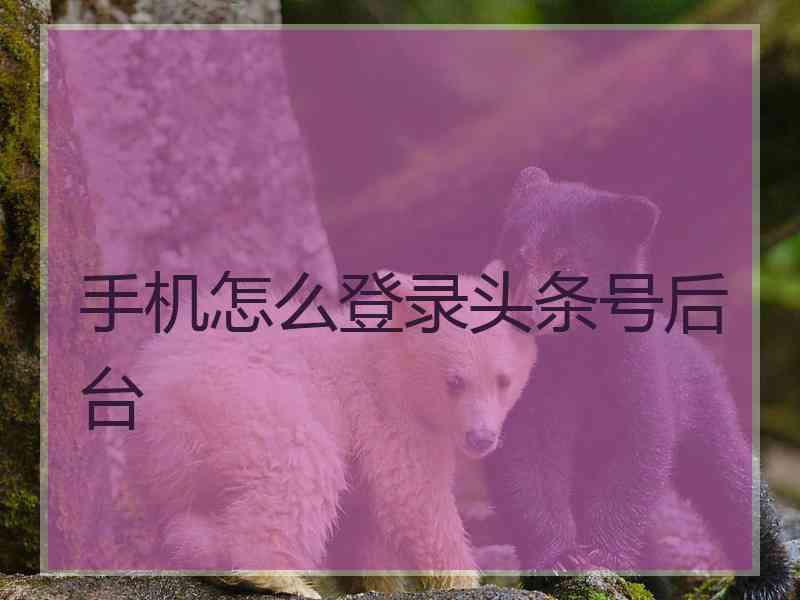 手机怎么登录头条号后台