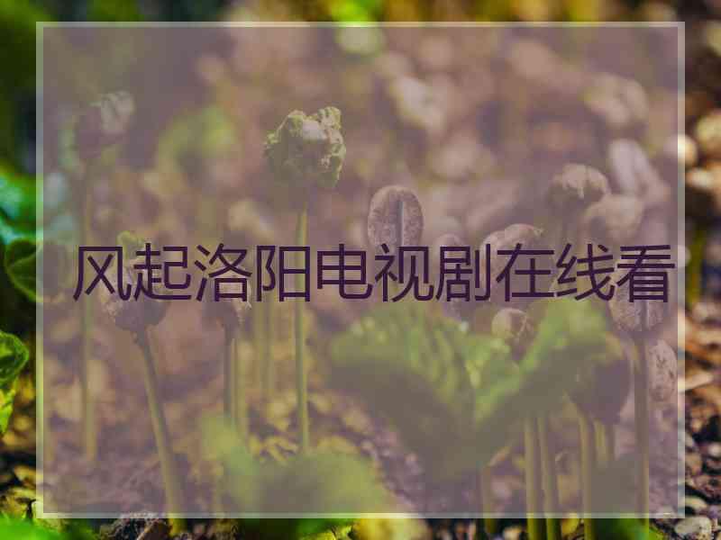 风起洛阳电视剧在线看