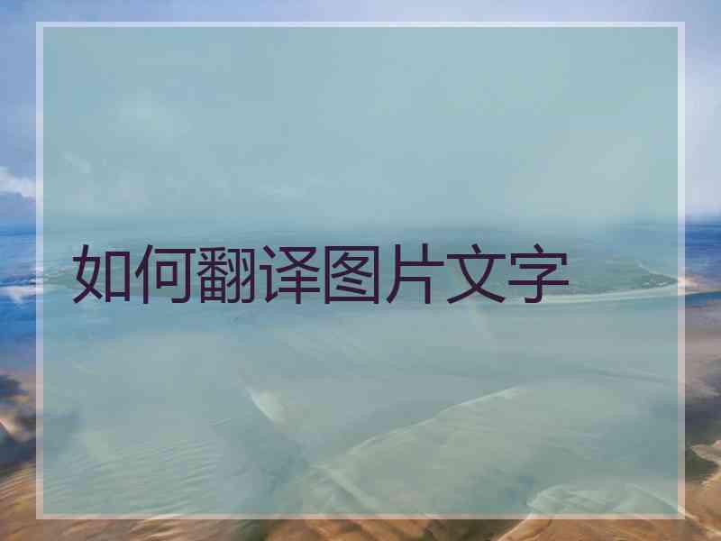 如何翻译图片文字