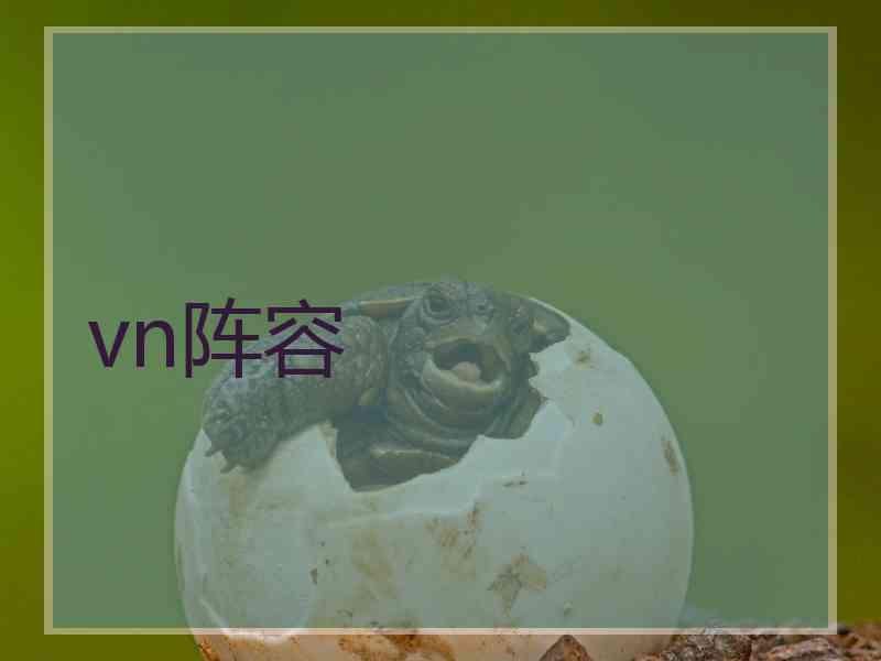 vn阵容