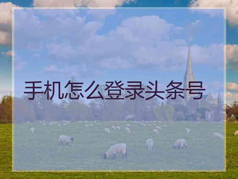 手机怎么登录头条号