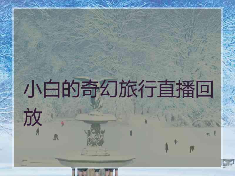 小白的奇幻旅行直播回放