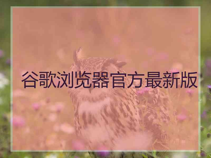 谷歌浏览器官方最新版