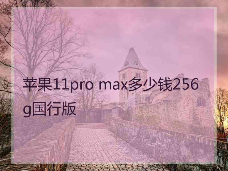 苹果11pro max多少钱256g国行版