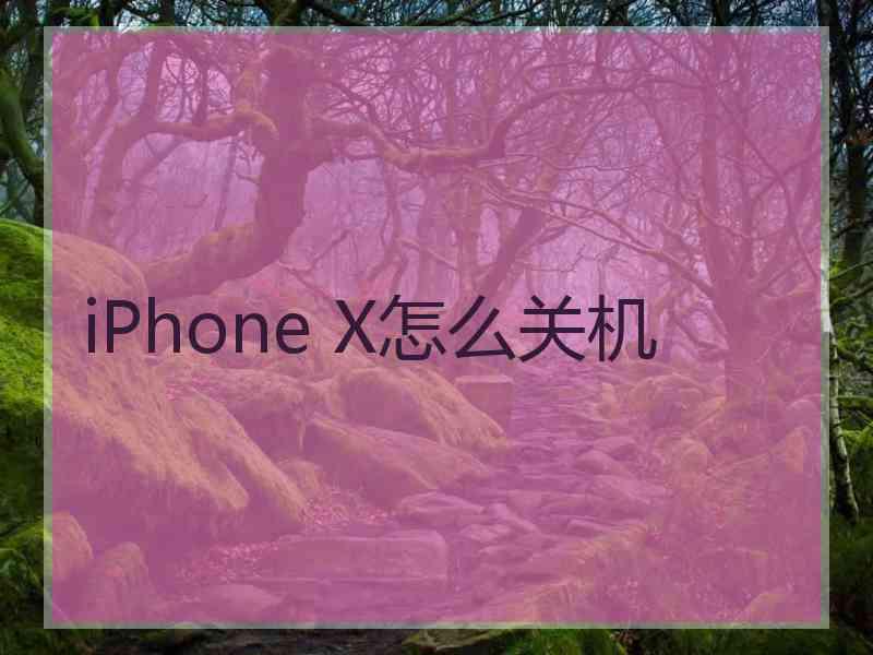 iPhone X怎么关机