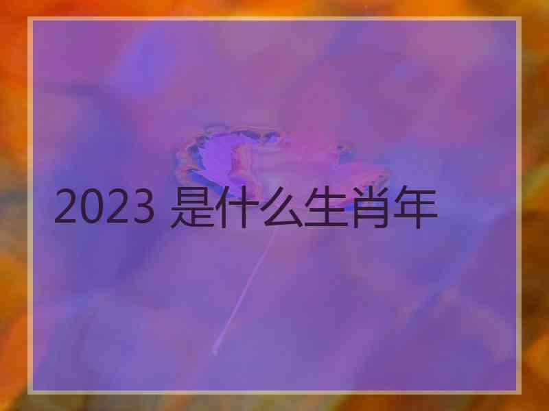 2023 是什么生肖年