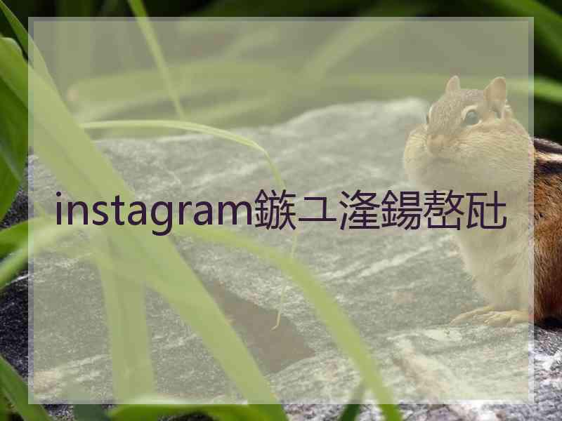 instagram鏃ユ湰鍚嶅瓧