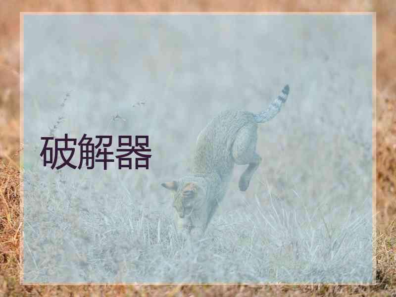 破解器