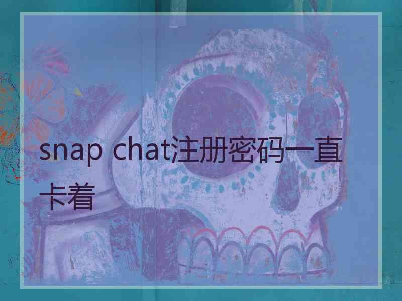 snap chat注册密码一直卡着