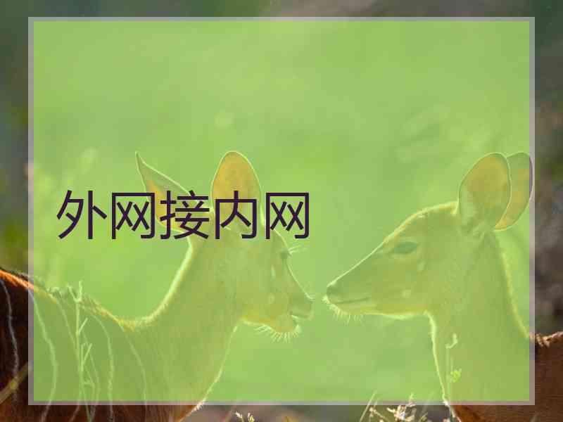 外网接内网