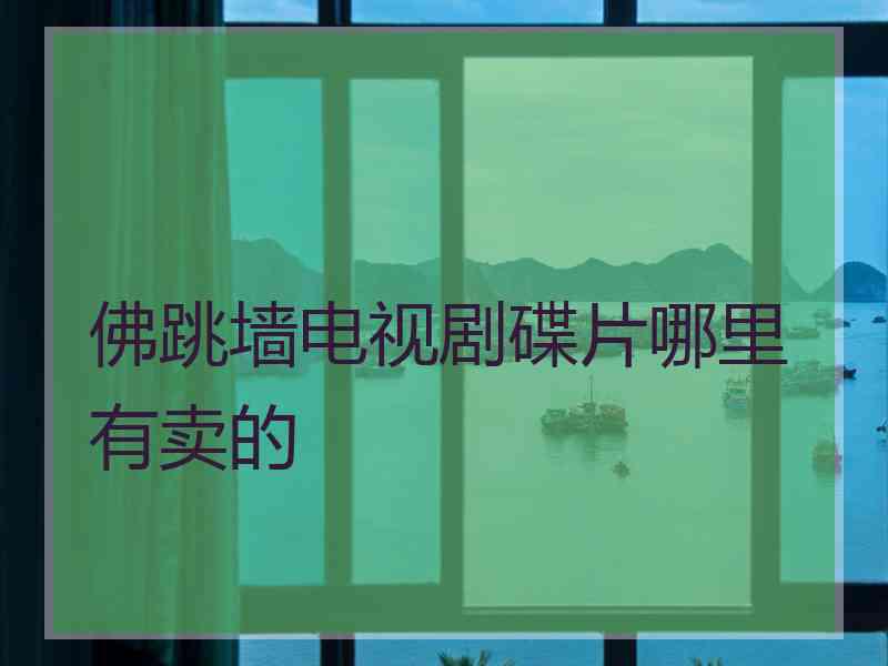 佛跳墙电视剧碟片哪里有卖的