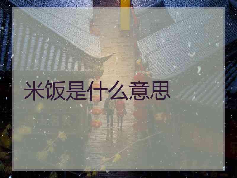 米饭是什么意思