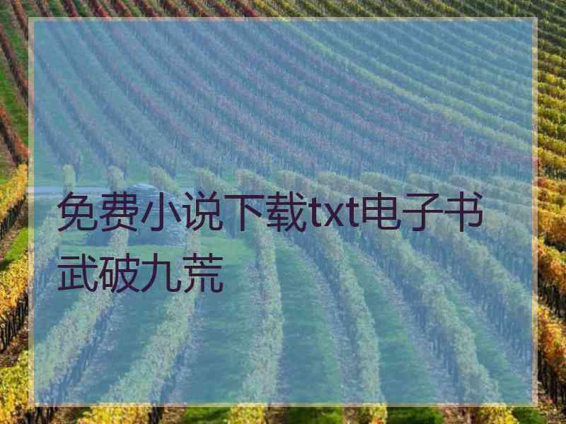 免费小说下载txt电子书武破九荒