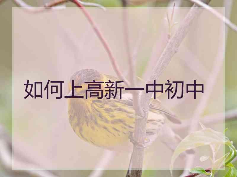 如何上高新一中初中