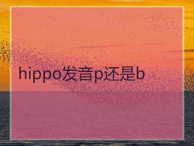 hippo发音p还是b