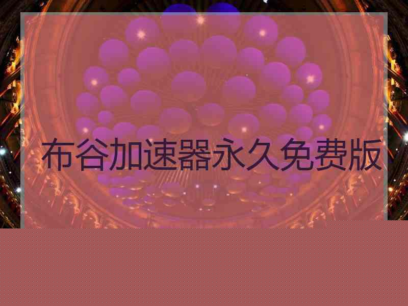 布谷加速器永久免费版