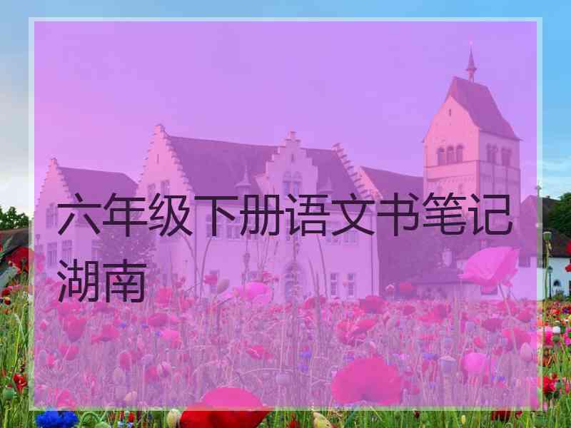 六年级下册语文书笔记湖南