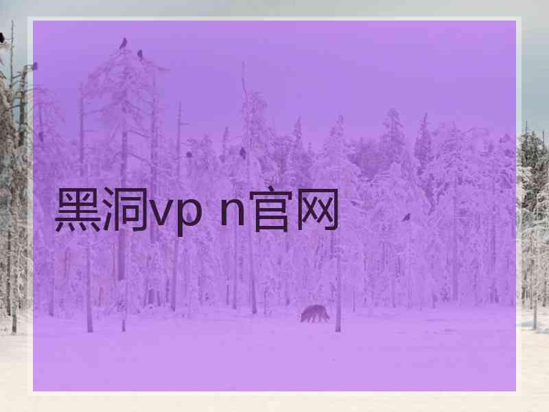 黑洞vp n官网