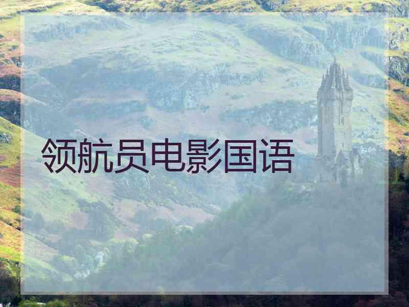 领航员电影国语