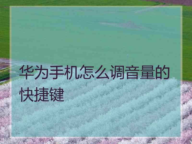 华为手机怎么调音量的快捷键