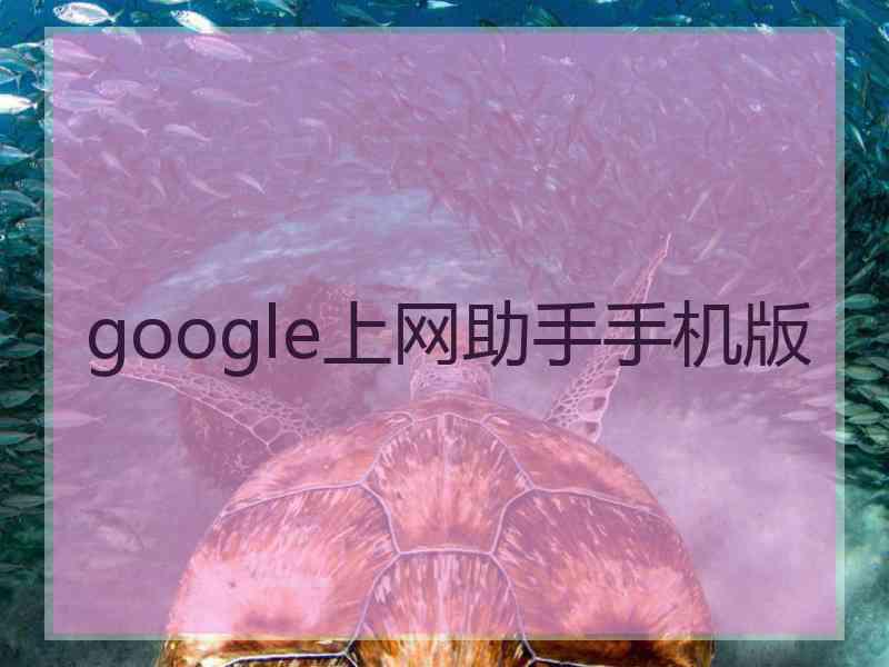 google上网助手手机版