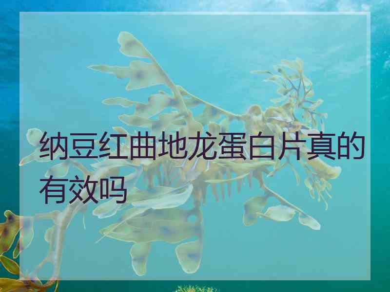 纳豆红曲地龙蛋白片真的有效吗