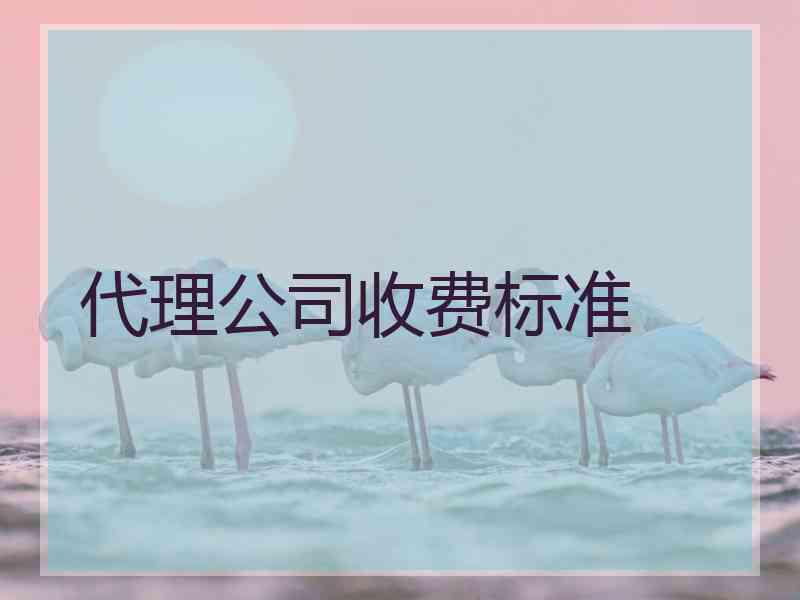 代理公司收费标准