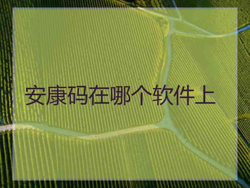 安康码在哪个软件上