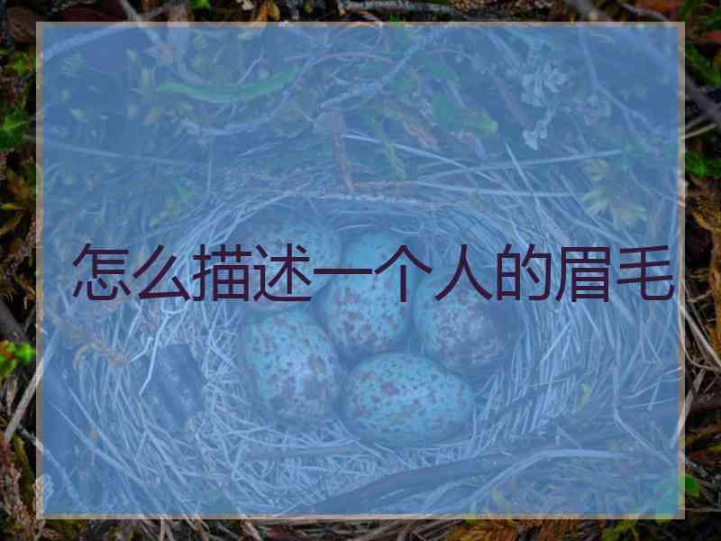 怎么描述一个人的眉毛