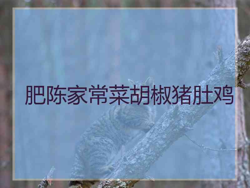 肥陈家常菜胡椒猪肚鸡