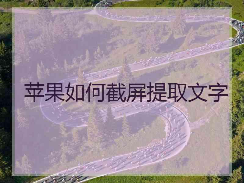 苹果如何截屏提取文字