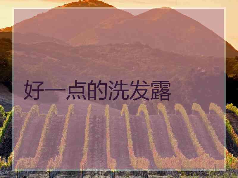 好一点的洗发露